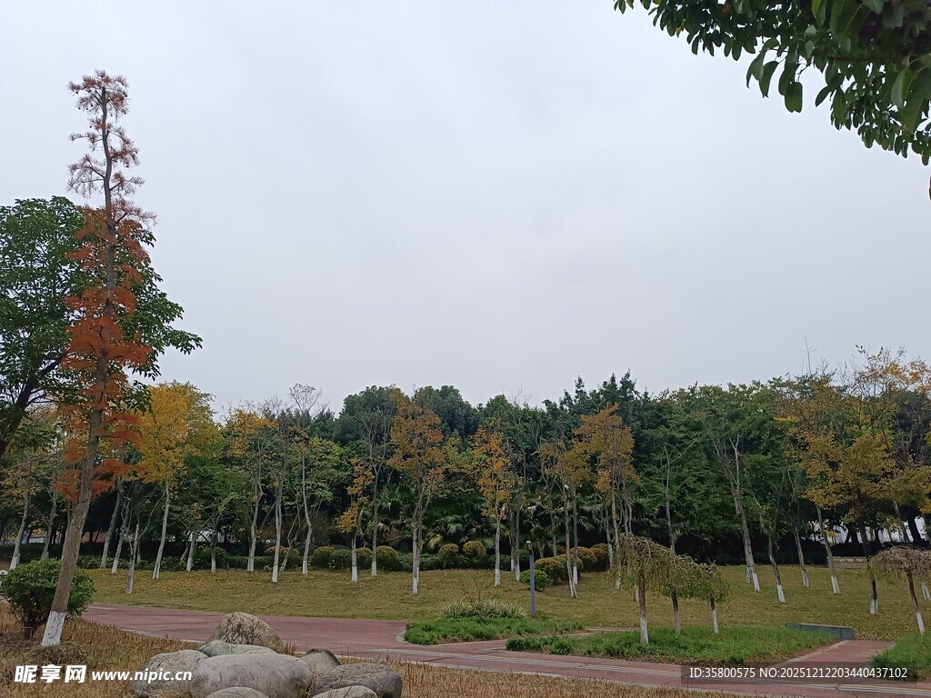 秋日公园静谧景致