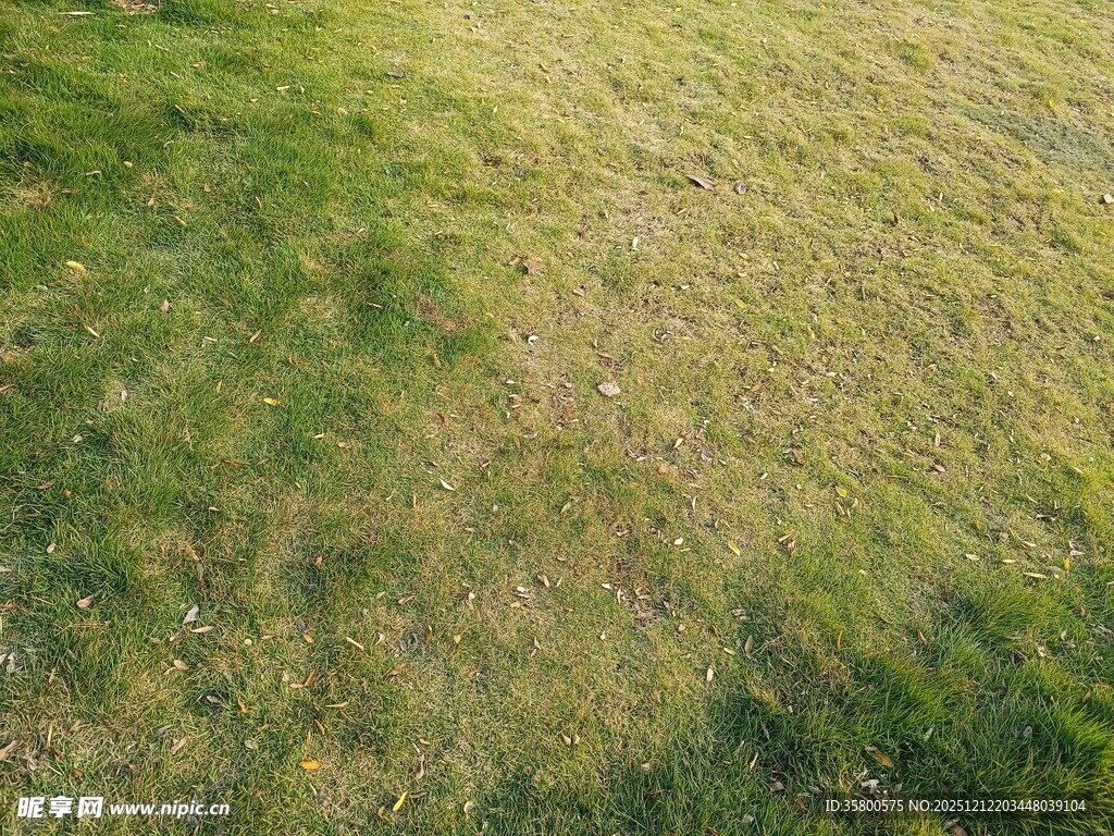 空中俯瞰翠绿草地