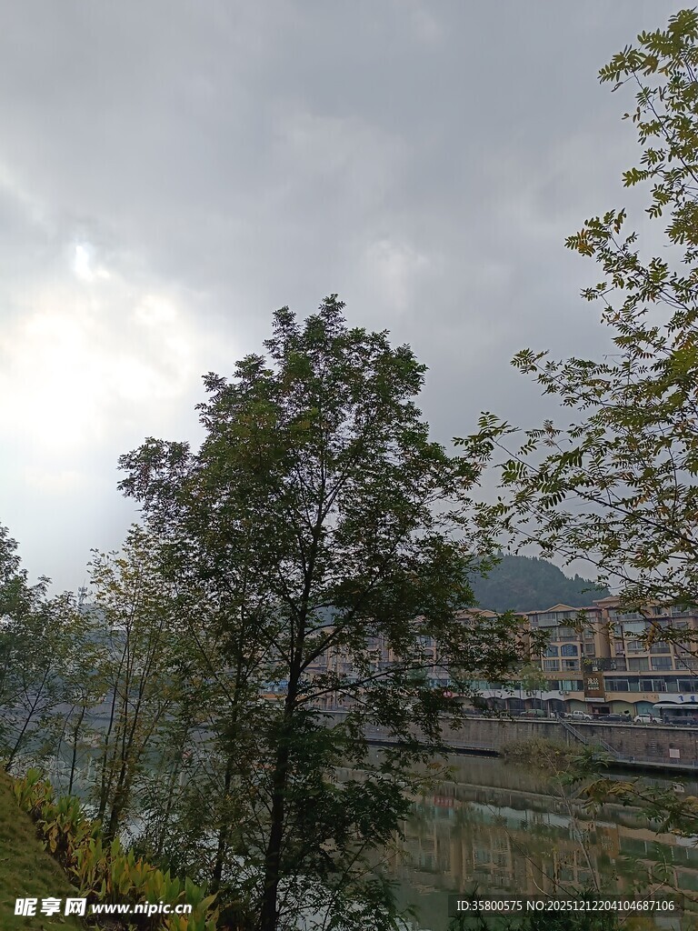 户外绿树与朦胧天空景色