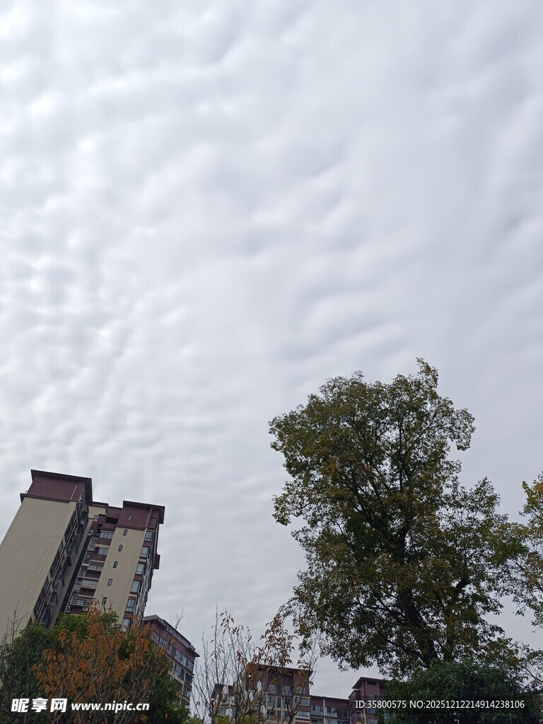 城市上空的云层与树木