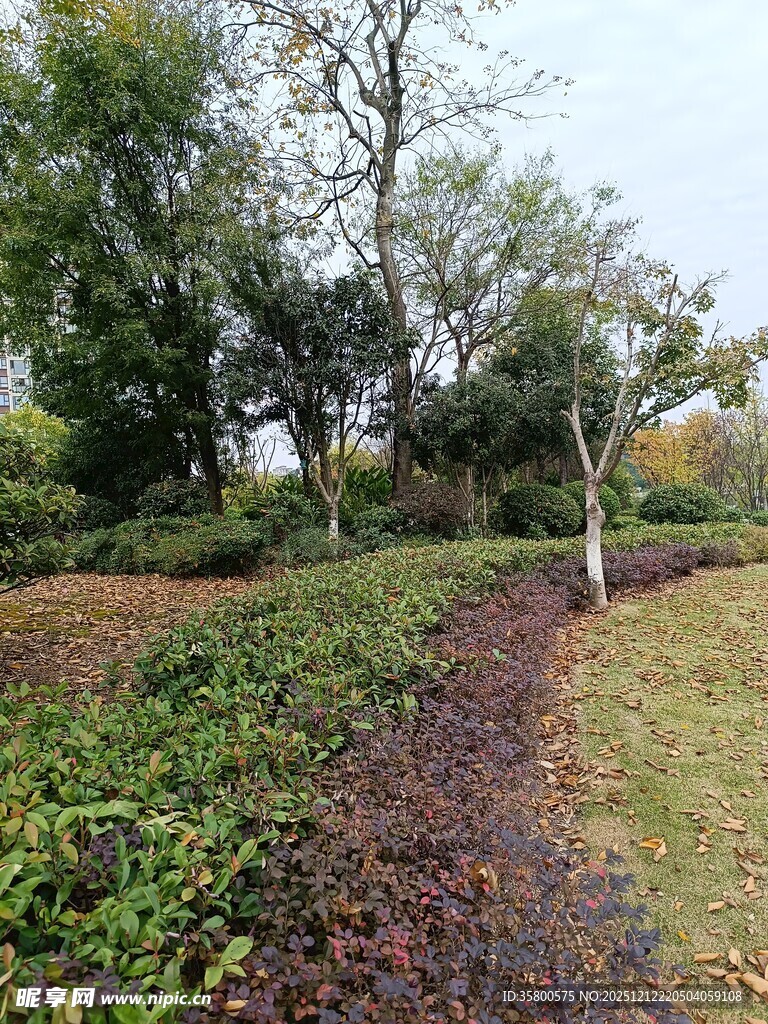 秋日林间小径景色