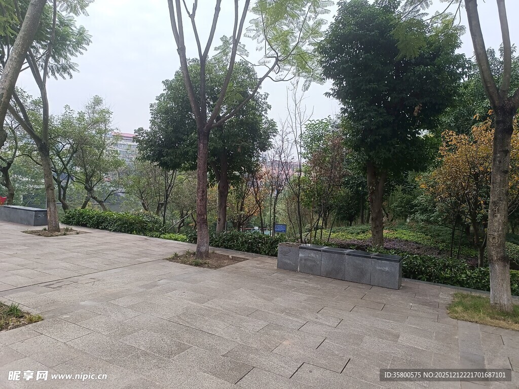 宁静的城市公园景观