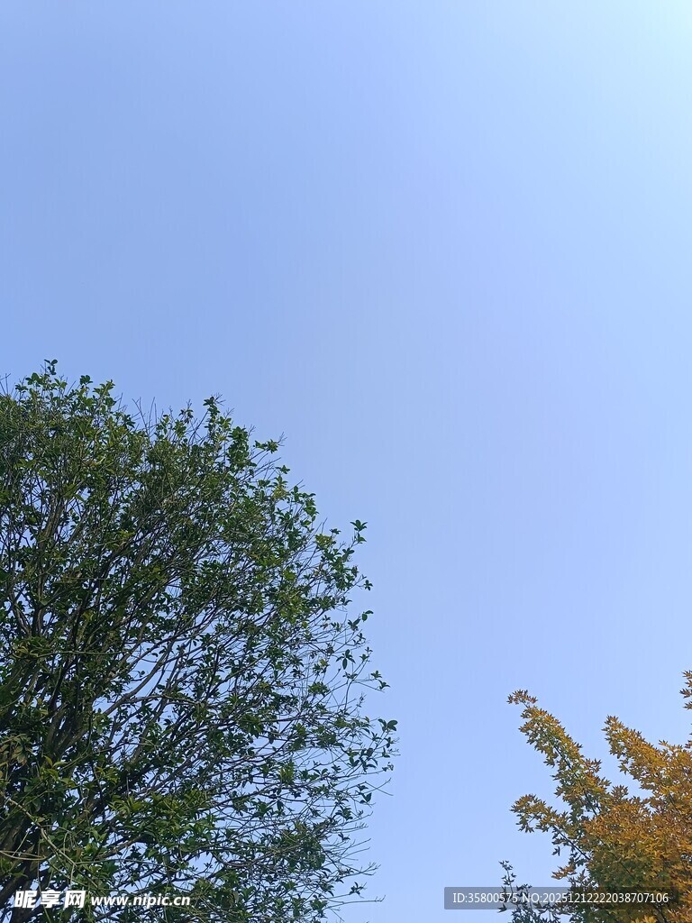 蓝天绿树秋日景象