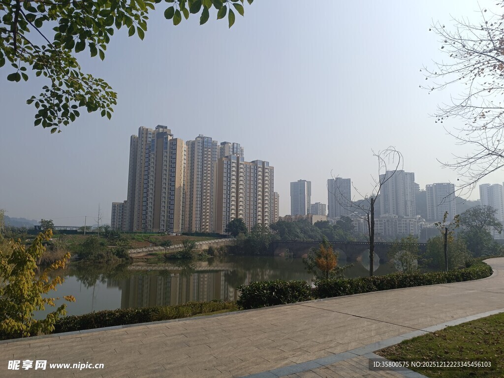 湖畔高楼林立的城市景观