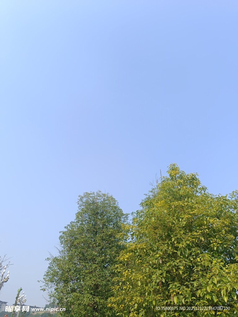 蓝天绿树风景图