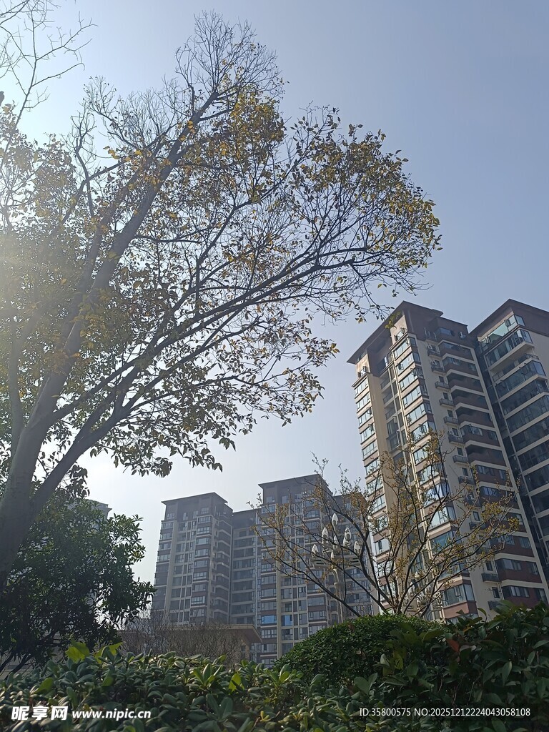 阳光照耀下的城市住宅楼