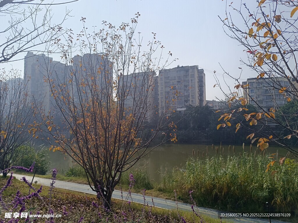 城市湖畔秋冬景致