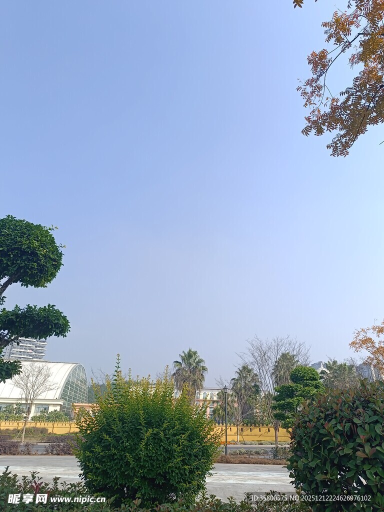 户外绿意盎然的园林景观