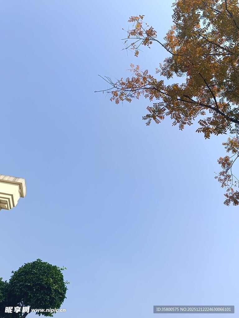 蓝天绿树建筑景致