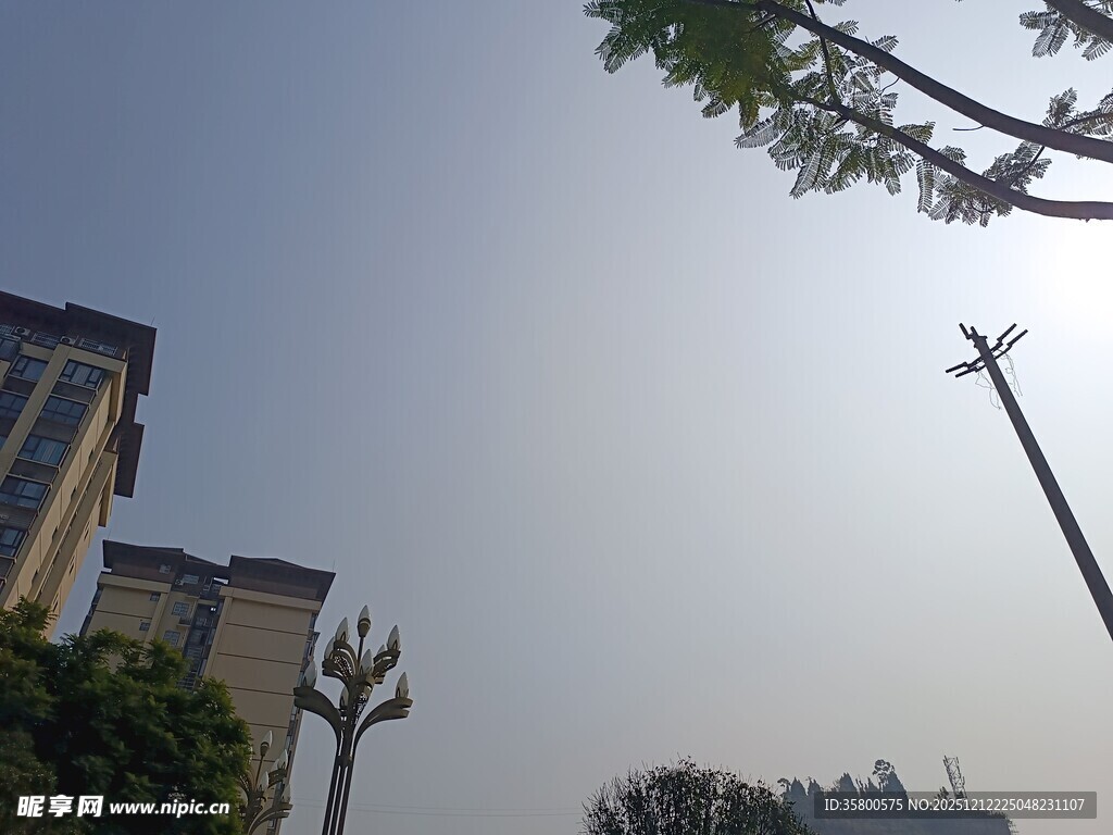 城市天空下的建筑与绿植