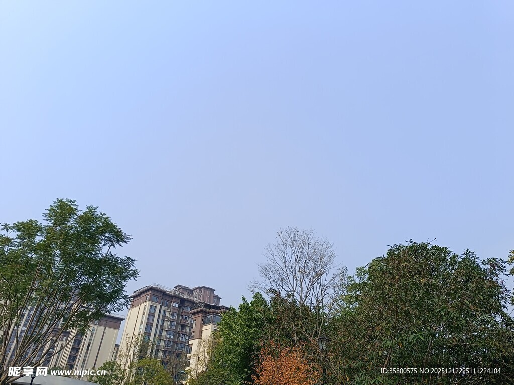 绿树环绕的多层建筑