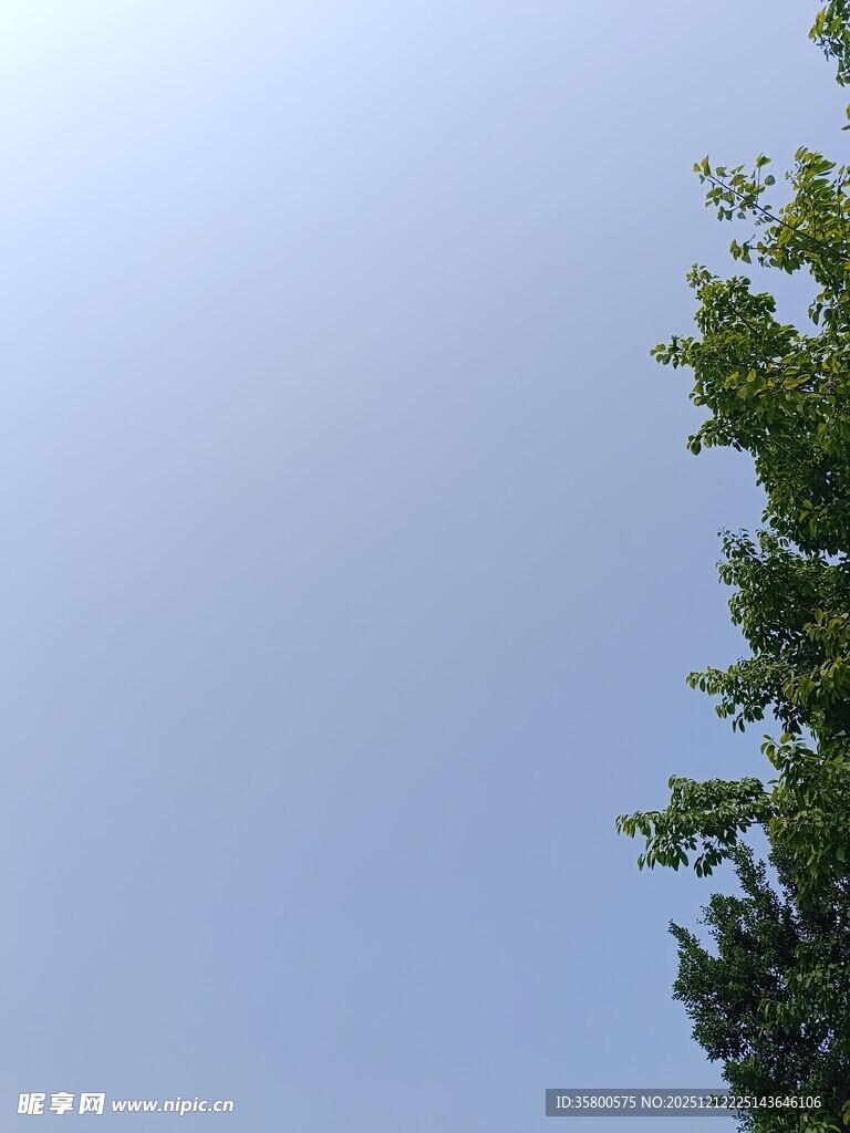 蓝天绿树风景一角