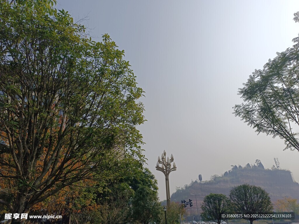 林间远望城堡景观