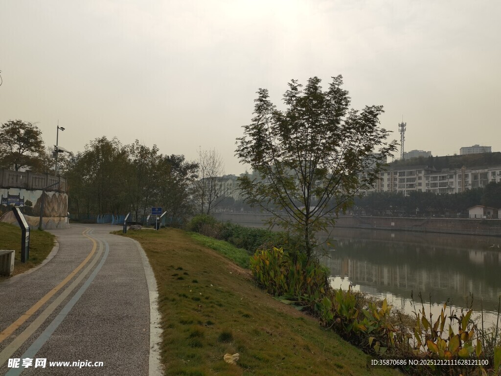 河畔蜿蜒小路的静谧风光