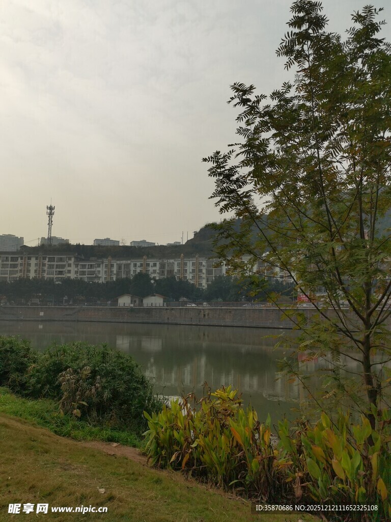 湖畔绿植与远处建筑景观