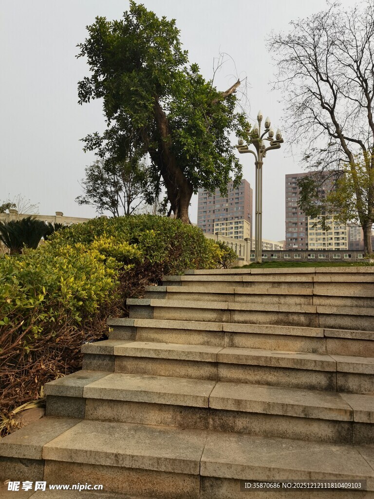 户外石阶旁的绿植与树木