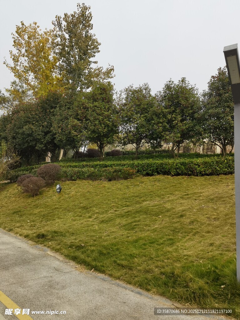 秋日公园小路旁的绿植景观