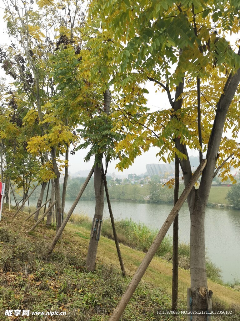 湖畔树木扶疏秋景如画