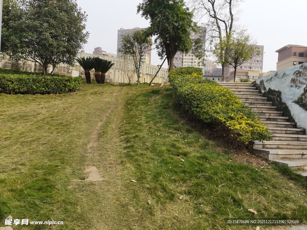 城市中的绿意休闲小径