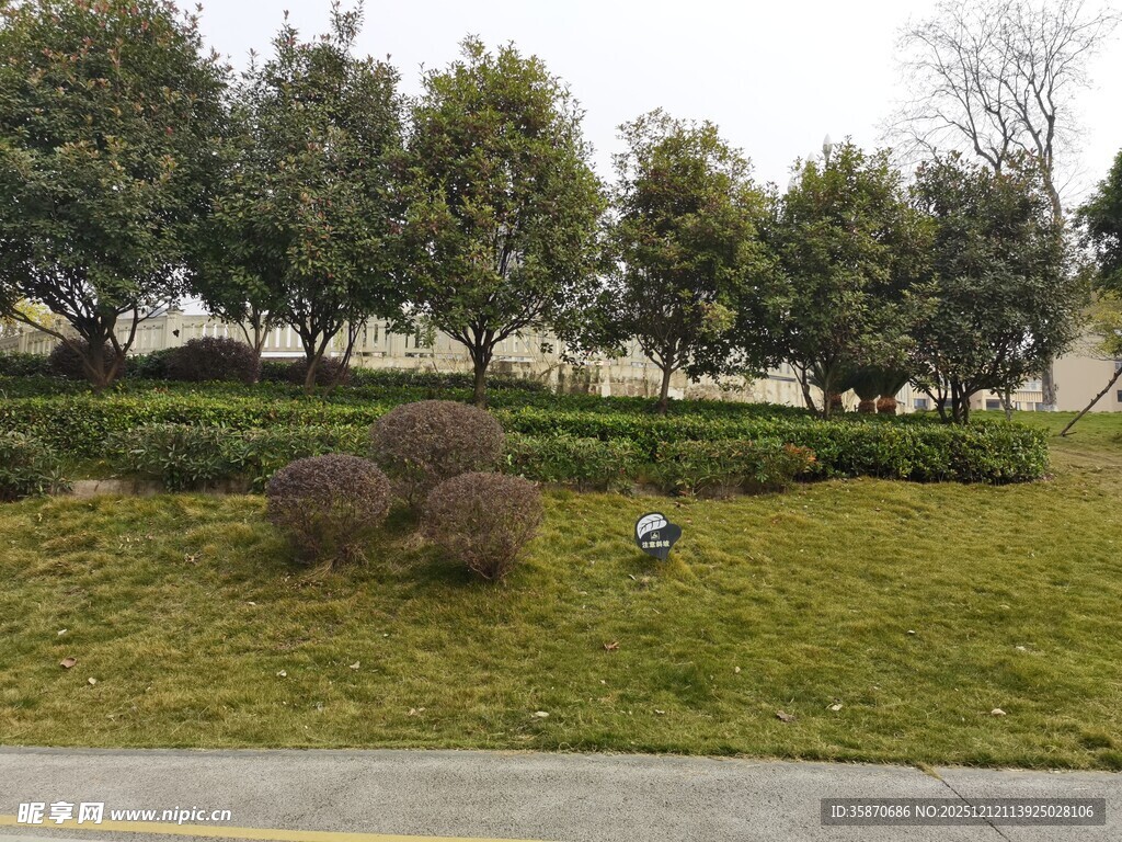 城市街边绿化景观