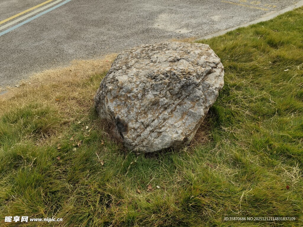 草地上的一块大石头