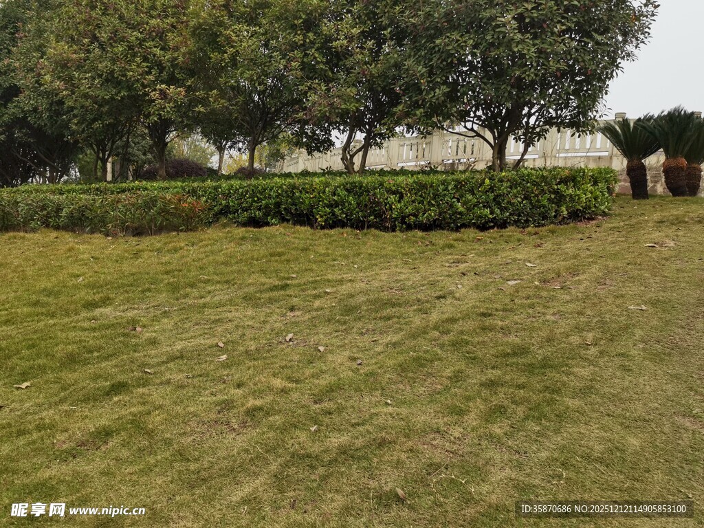 户外草坪与绿植景观