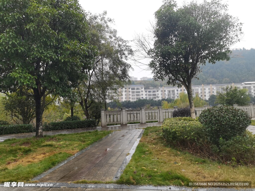 雨后清新的公园小径