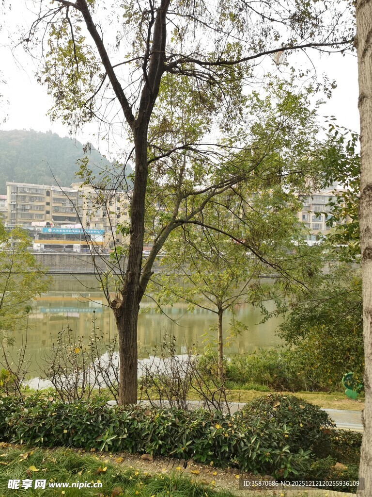 户外绿树环绕的自然景致