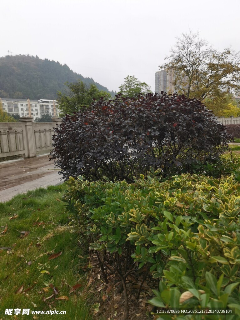 户外绿植景观一角