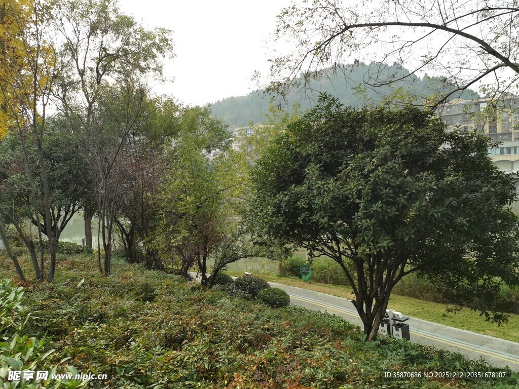 林间小道自然静谧之景