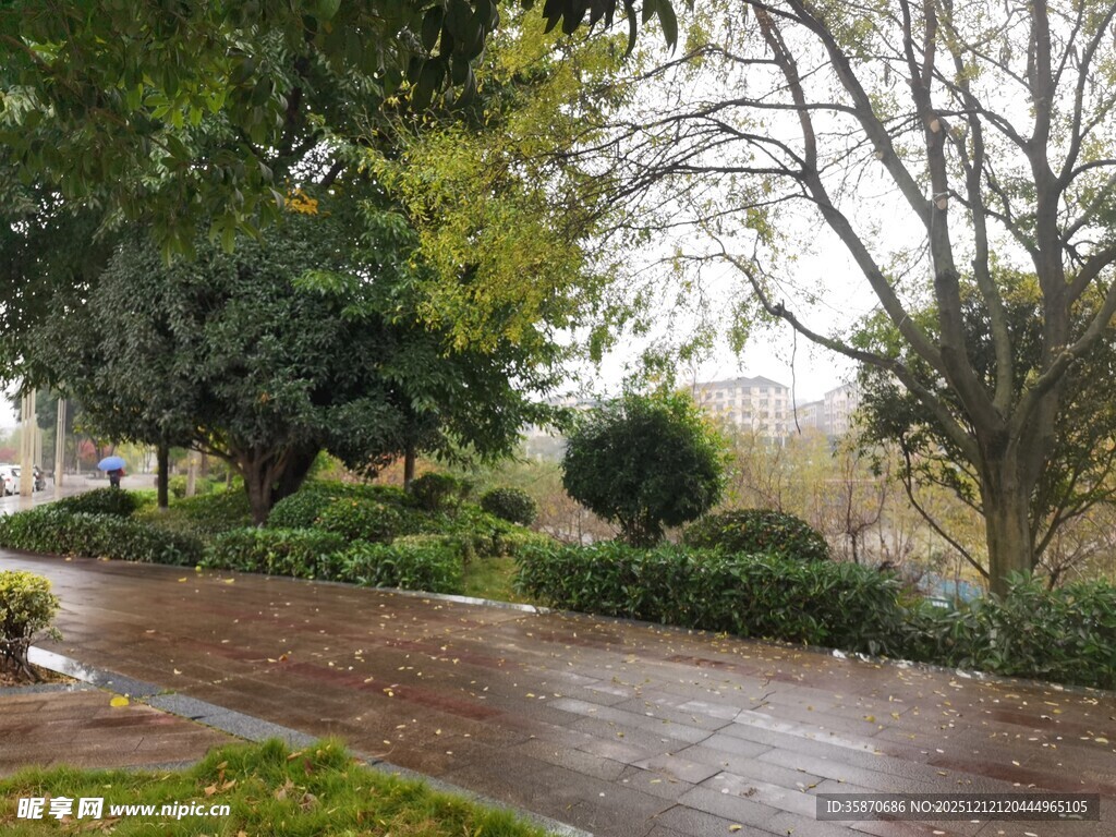 雨后湿润的公园小径