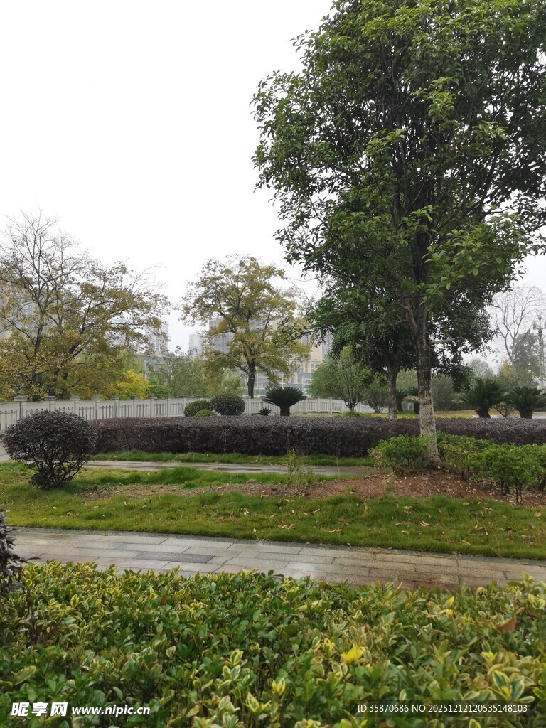 雨中静谧的园林景观