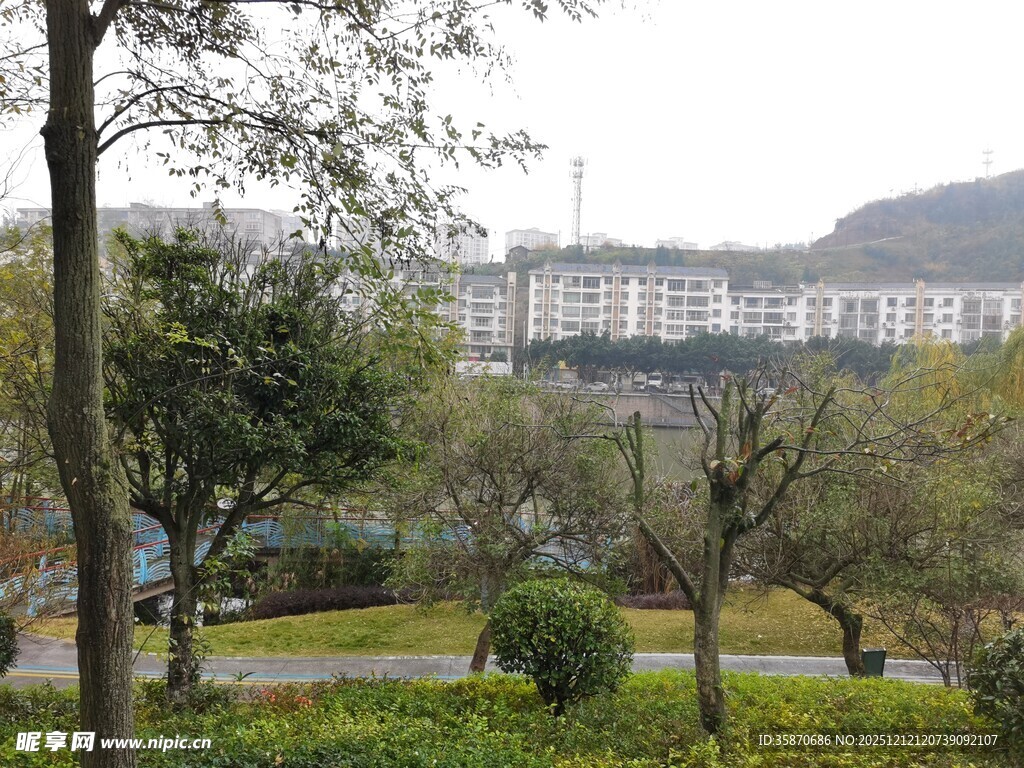 城市园林景观中的建筑远景