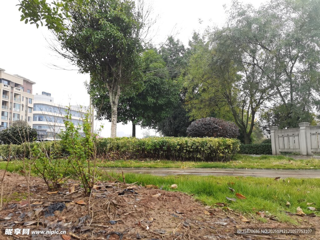 城市中的绿地景观