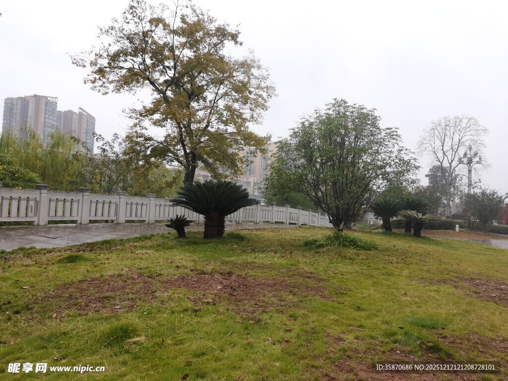 公园草地与造型树木景观