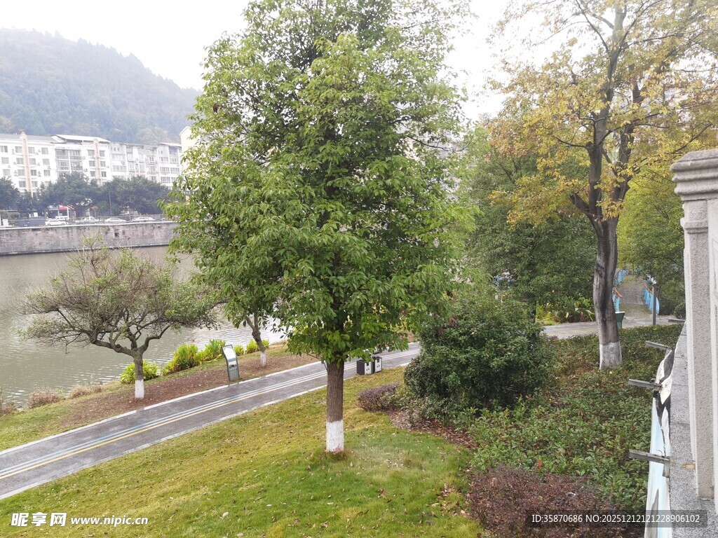 河畔绿树环绕的优美景致