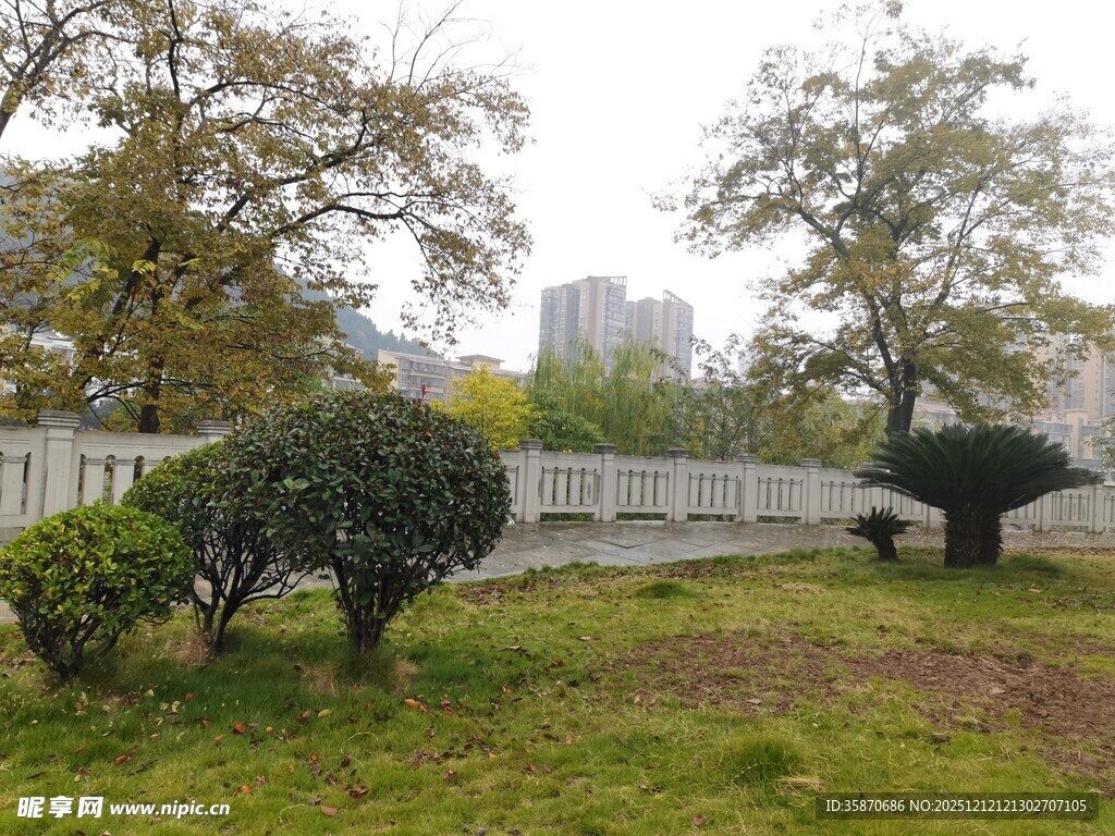 城市公园中的绿植景观