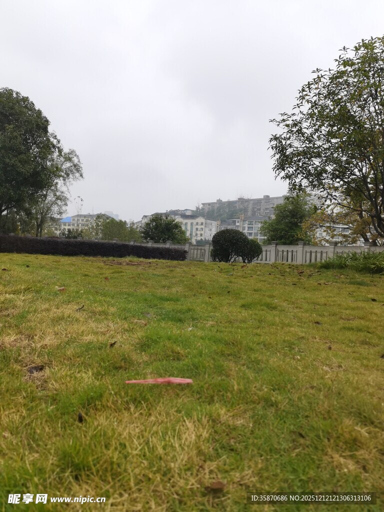 户外草地与树木景观