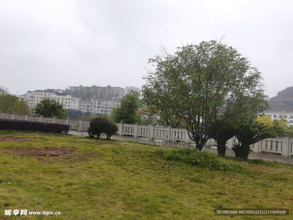 户外草地树木景观