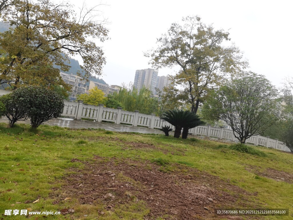 户外草地树木景观