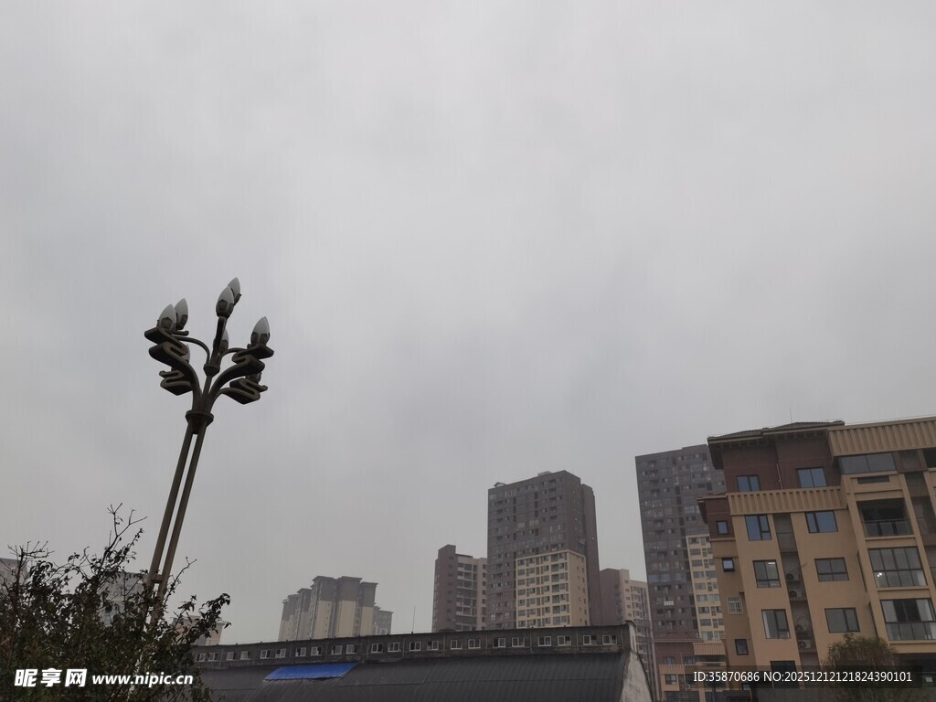 城市阴天景象中的路灯与建筑