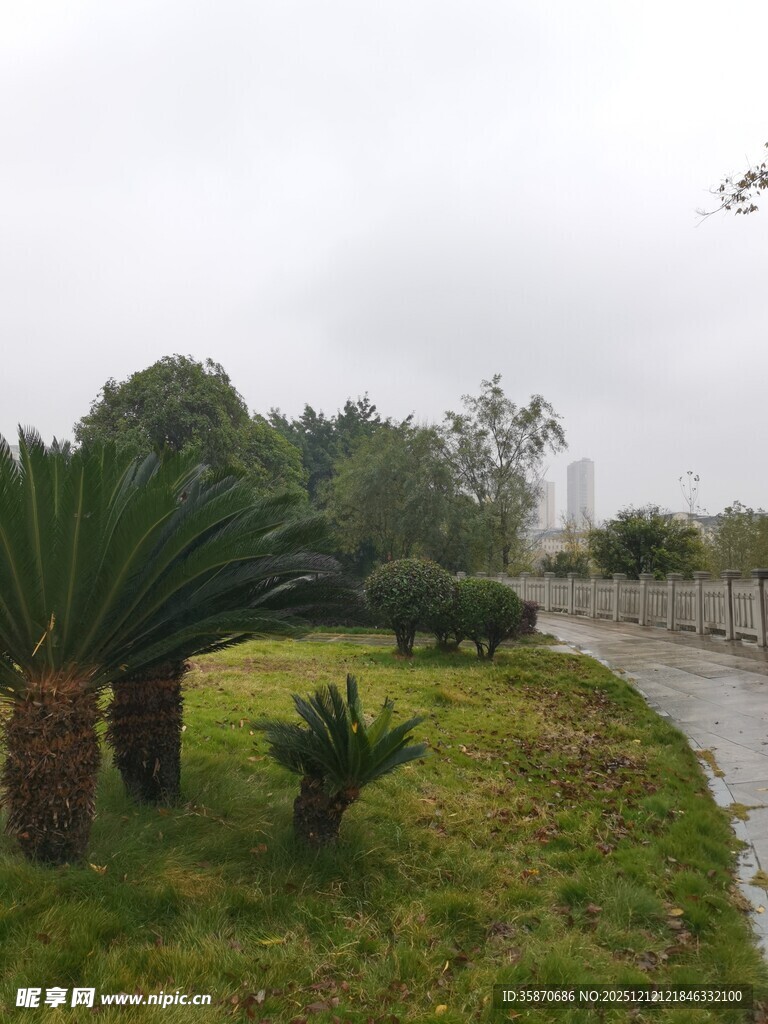 雨中园林小径绿植景观
