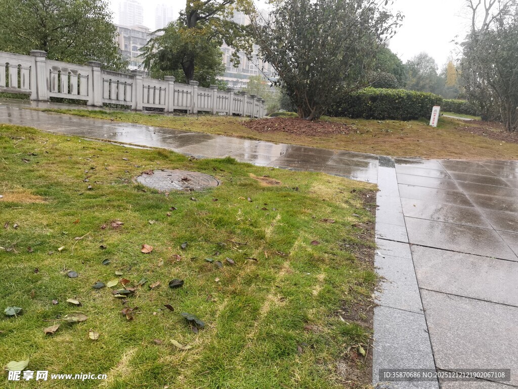雨后湿润的草地与水泥路面