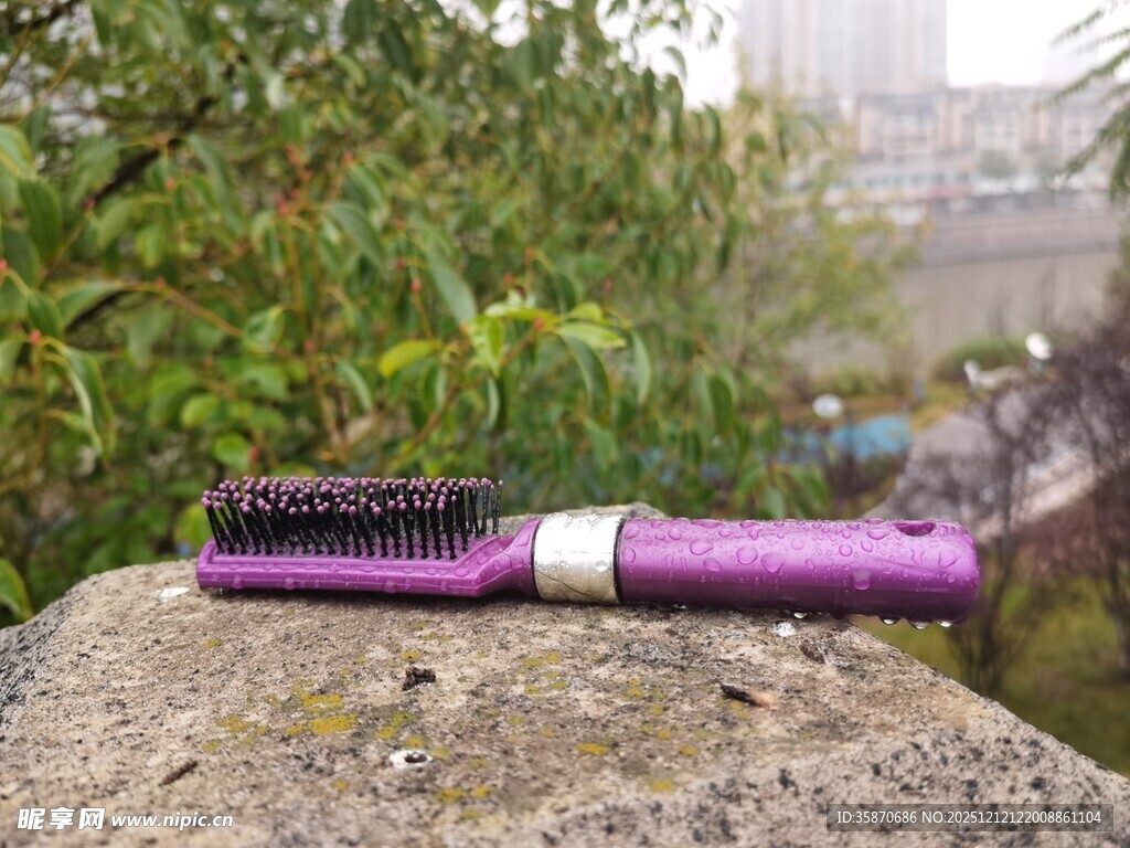 紫色发梳置于岩石绿植间