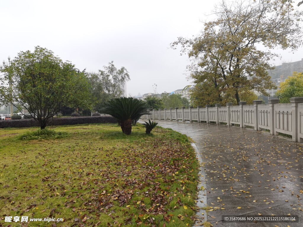 雨后公园小径静谧景致