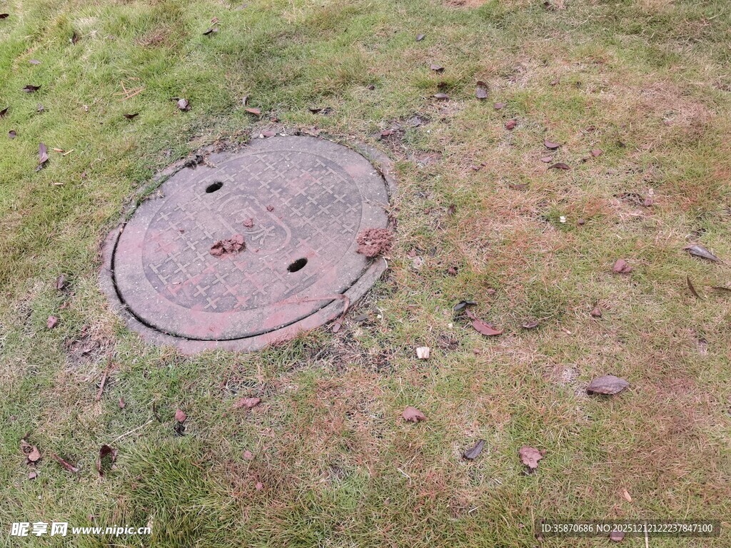 草地上的圆形井盖