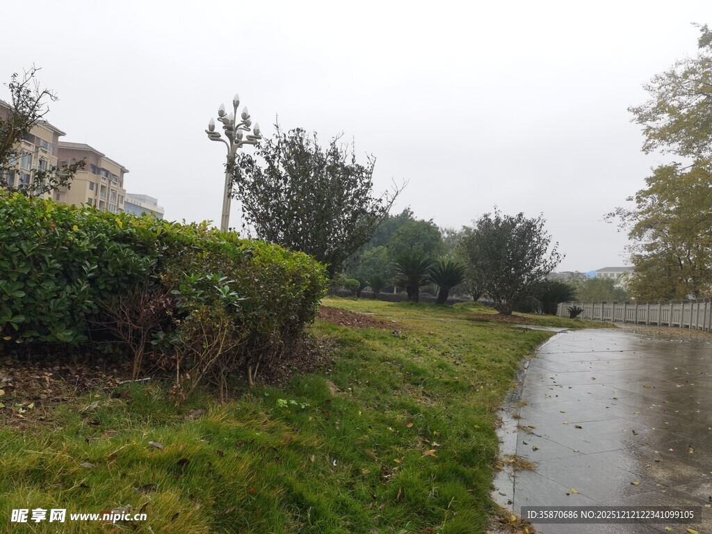 雨后湿润的户外小径景观