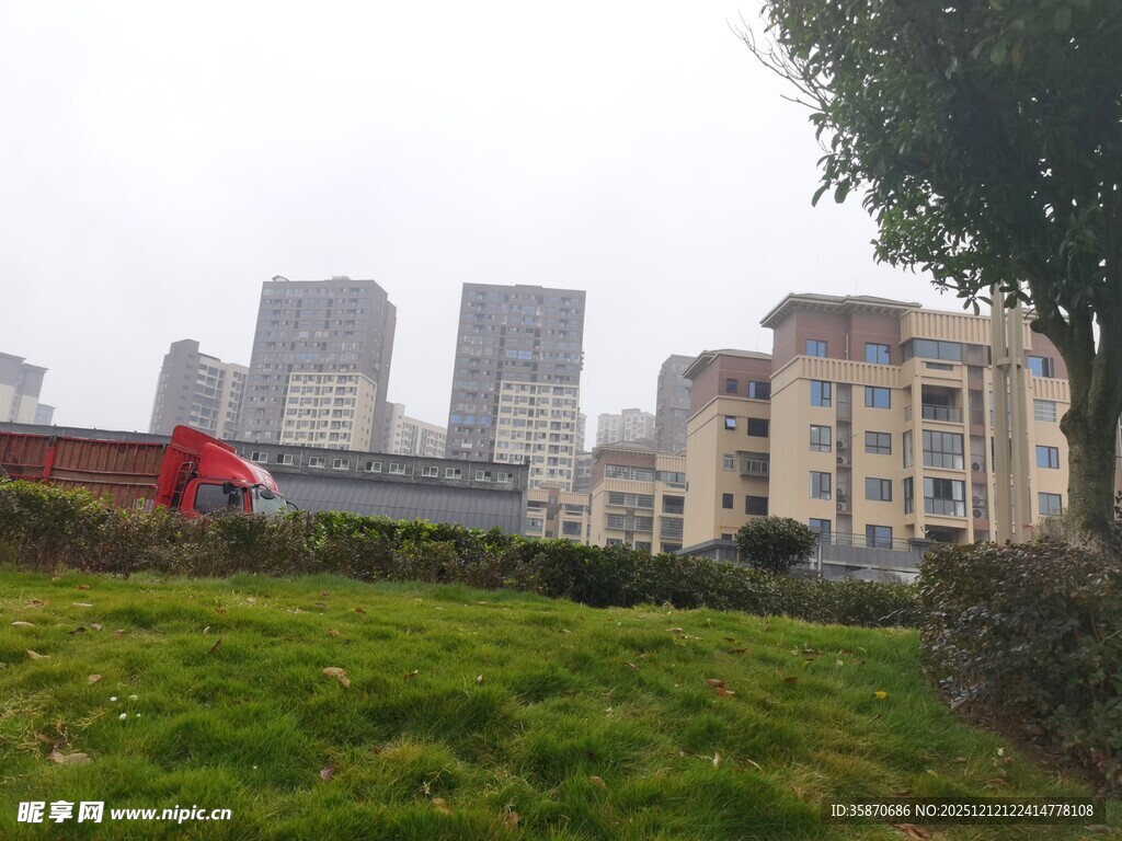 城市草地与远处高楼景观