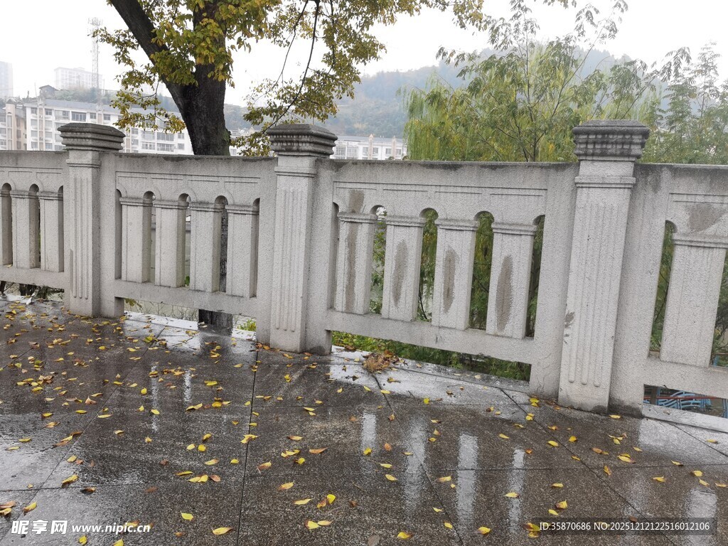 雨中围栏落叶铺就湿地面