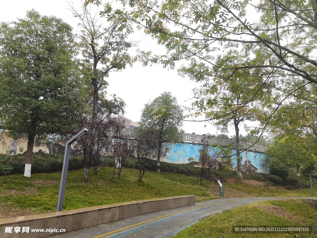 湖畔林荫小道风景